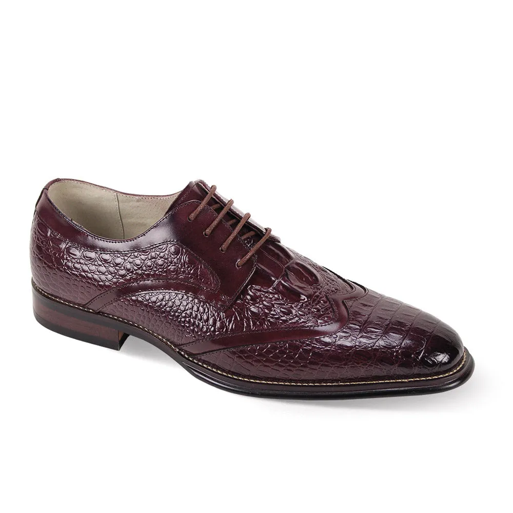 Giovani wing tip lace up shoes