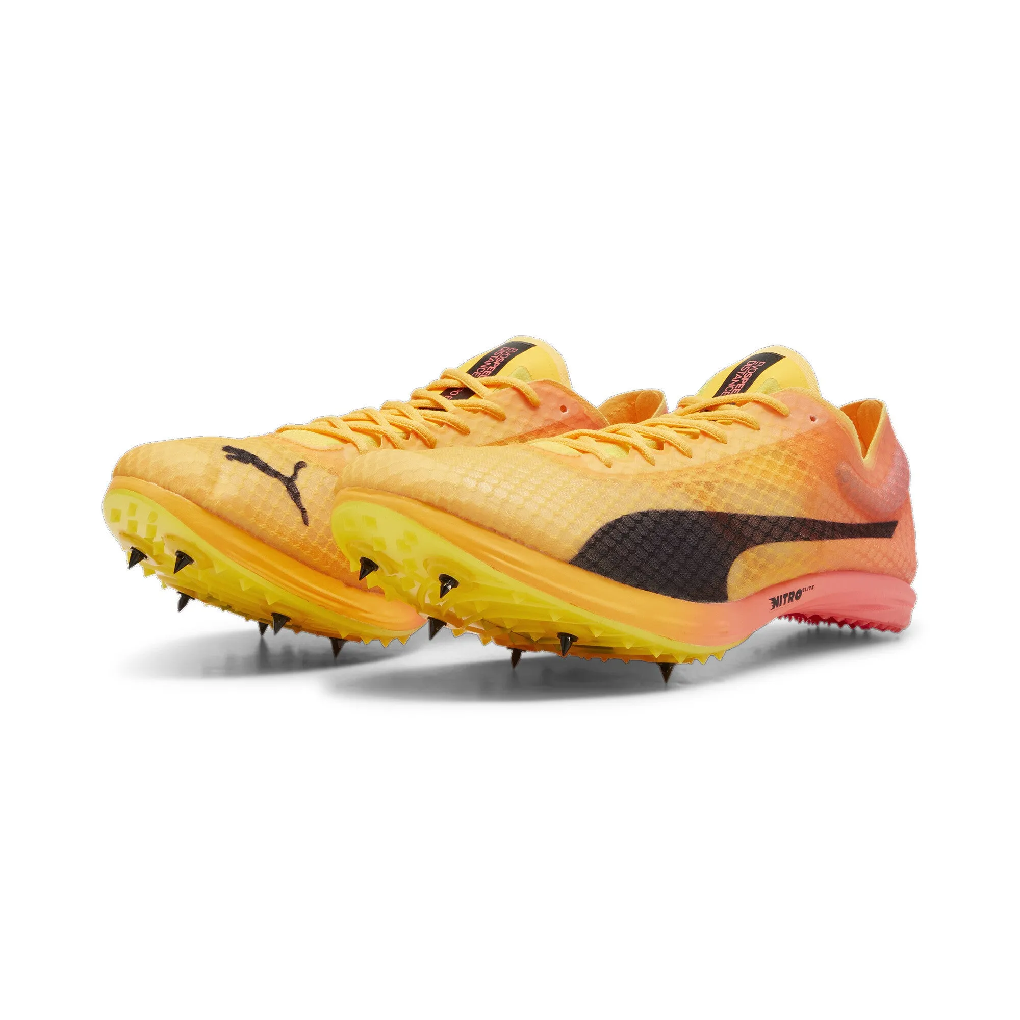 Unisex Evospeed Distance Nitro Elite  4