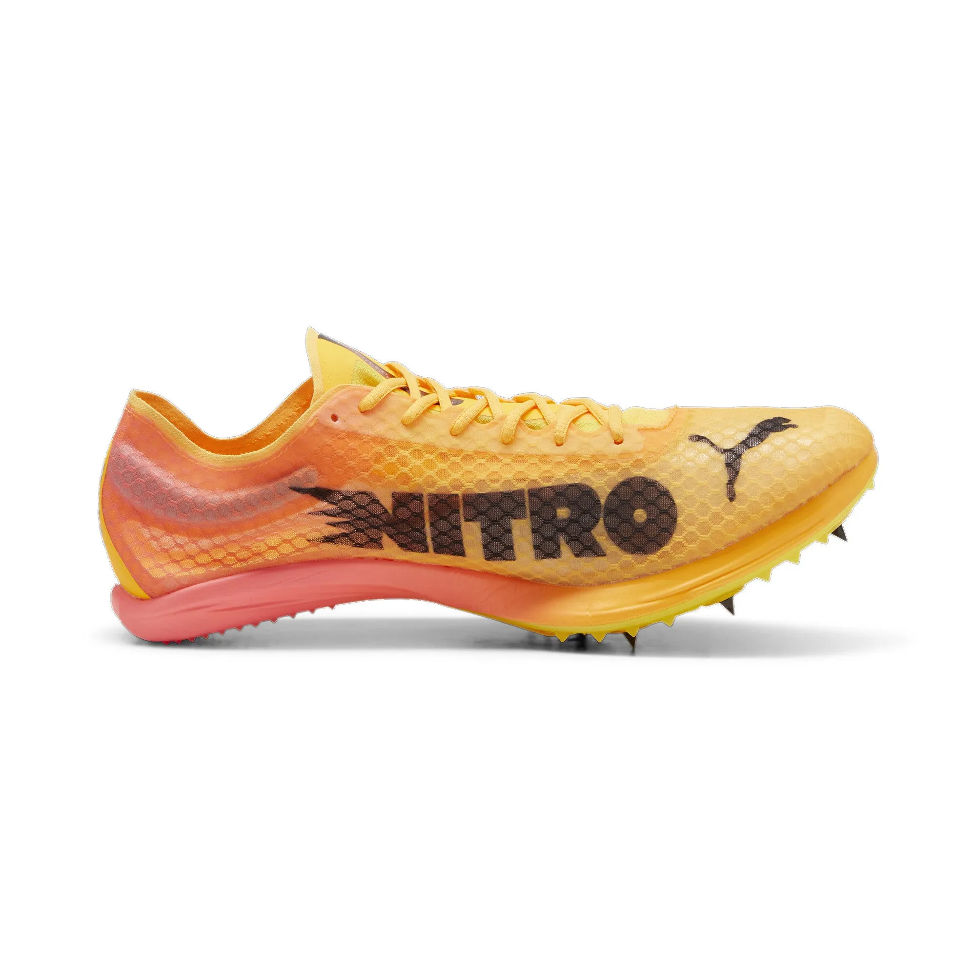 Unisex Evospeed Distance Nitro Elite  4